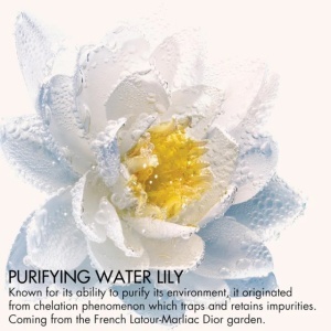 Dior Eye & Lip Makeup Remover - Demachiant bifazic pentru ochi si buze cu extract purificator de Nymphéa - 125ml - Img 2