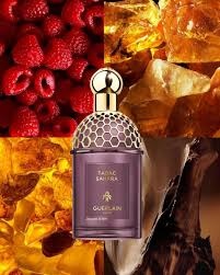 Guerlain Absolus Allegoria Tabac Sahara - Apa de parfum unisex - 75ml - Img 3