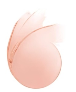 L'Oreal Shine Anytime by Isabel Marant Cream - Iluminator 6 g - Img 3