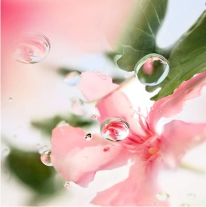 Lancome - O de Lancome Over The Top EDT - Apa de toaleta pentru femei 100ml - Img 5