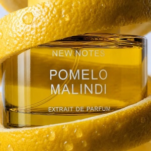 NEW NOTES - Pomelo Malindi, extract de parfum 60 ml - Img 2