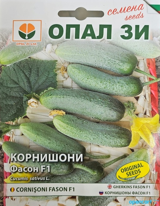 Краставици, Семена за сорт fason f1