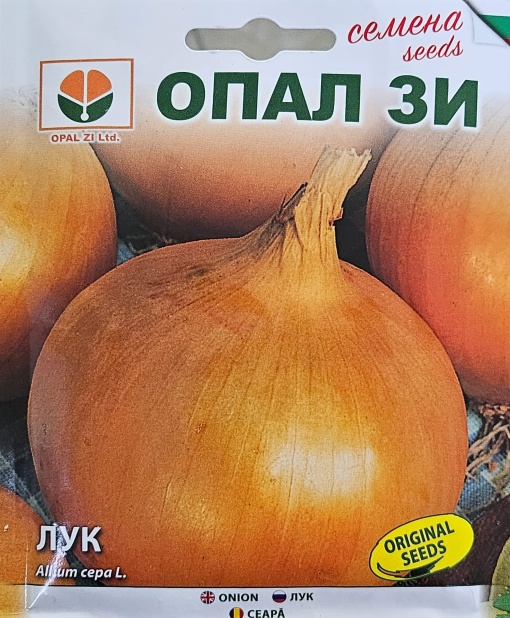 ЛУК, Семена сорт allium cepa l., златистожълт плътен сорт, който не е лют