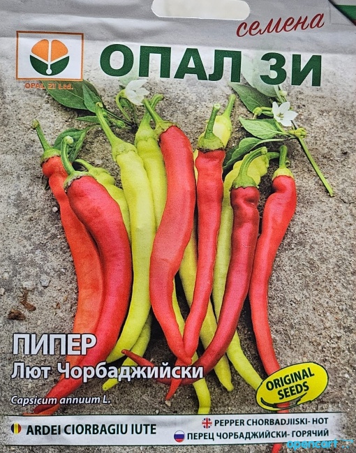 Пипер, Семена за сорт Лют Чорбаджийски, дължина 18-22 сантиметра