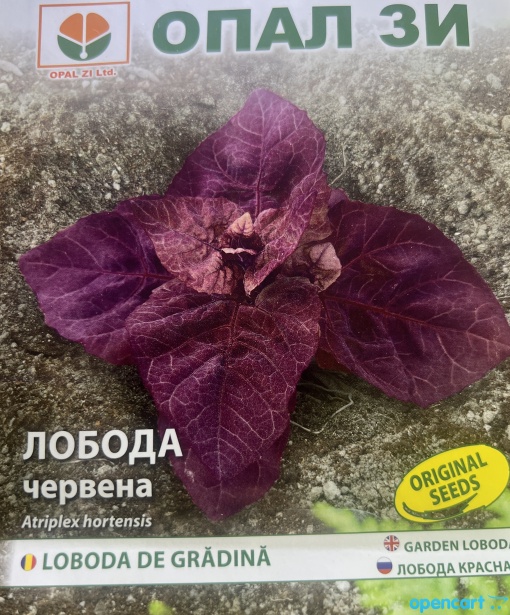 Семена на градинска лобода, засяване през пролетта