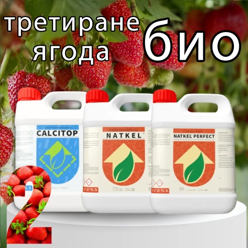 BIOPACK Етап 2 ЯГОДИ – Залагане на плодовете, Ускоряване на растежа и оцветяването