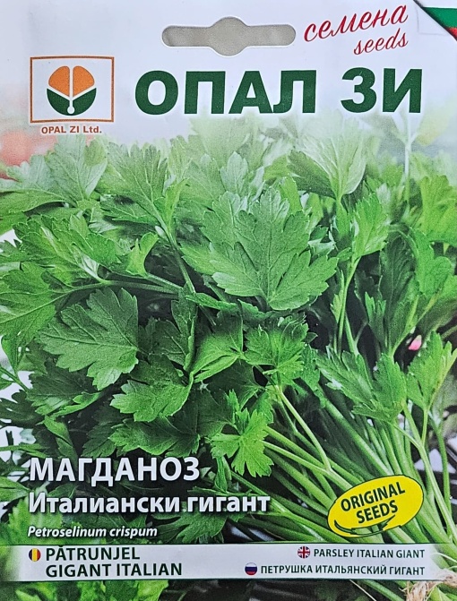 Магданоз, Семена за сорт ИТАЛИАНСКИ ГИГАНТ : много продуктивен ранен сорт