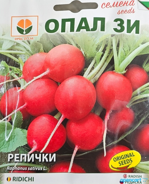 Репички, Семена за сорт giant butter , полуранен сорт