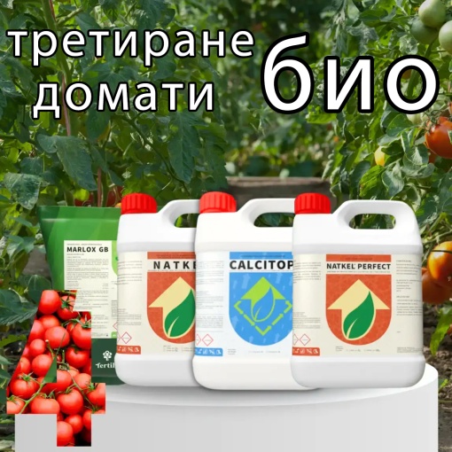 BIOPACK Етап 4 ДОМАТИ – Ускоряване на растежа и оцветяването на плодовете