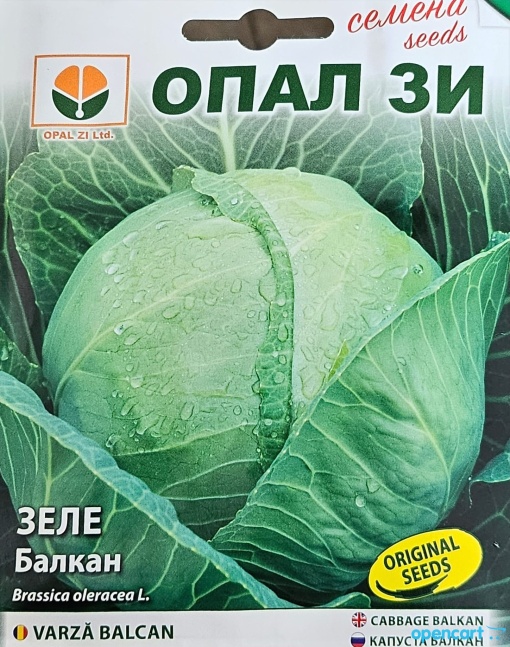 Зеле, Семена за сорт БАЛКАН , сорт за късно производство