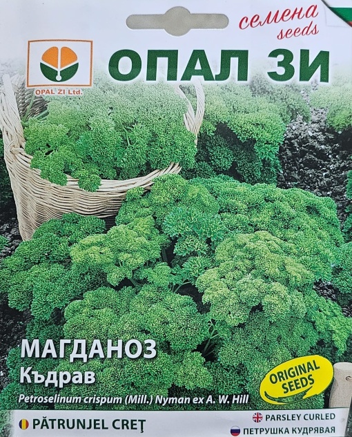 Магданоз, Семена за сорт Къдрав, ранен продуктивен сорт
