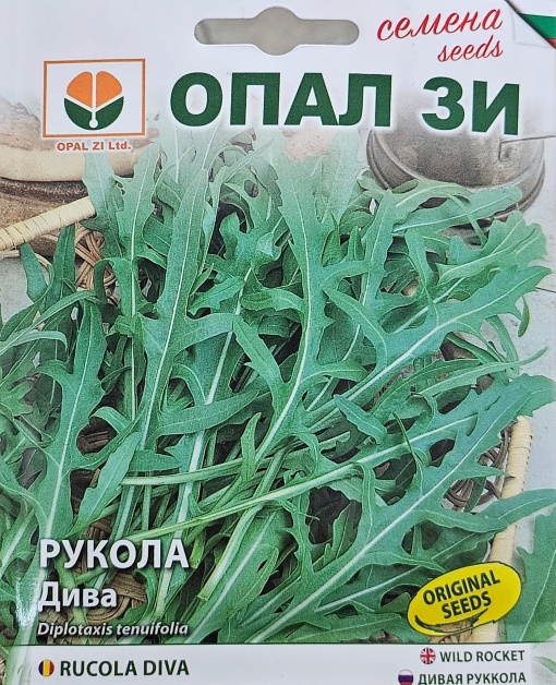 Рукола, Семена за сорт ДИВА, за целогодишно засяване в оранжерия