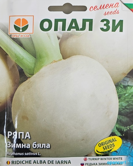 Ряпа, Семена за сорт ЗИМНА БЯЛА, вегетация 80-90 дни