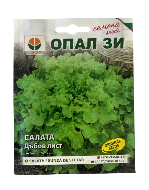 Салата, Семена за сорт ДЪБОВ ЛИСТ, разфасовка 2 грама/торбичка