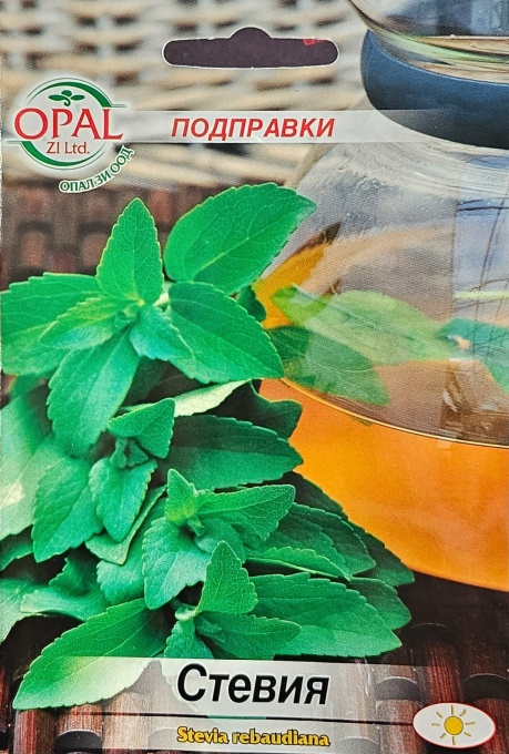 Семена на СТИВИЯ rebaudiana : височина 50-60см