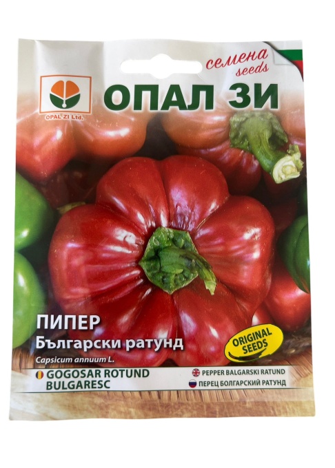 Камби, Семена за сорт БЪЛГАРСКИ Ратунд, много продуктивен сорт