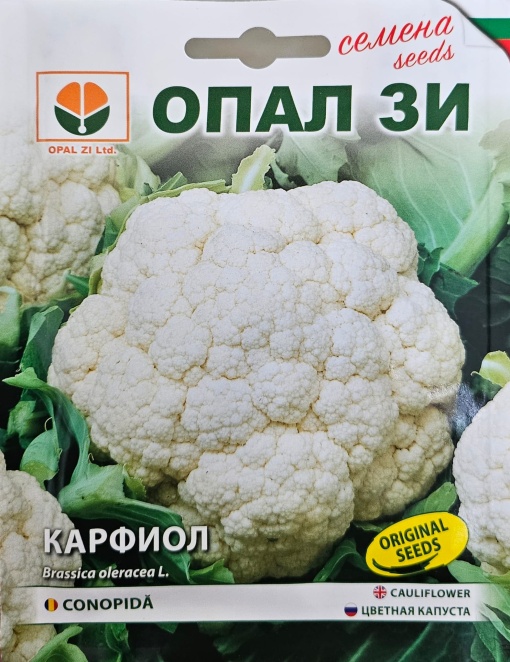 Карфиол, Семена за сорт ЕРФУРТЕР, сорт с бяла глава, едри