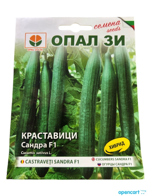 Краставици, Семена за сорт САНДРА f1, много продуктивен хибриден сорт