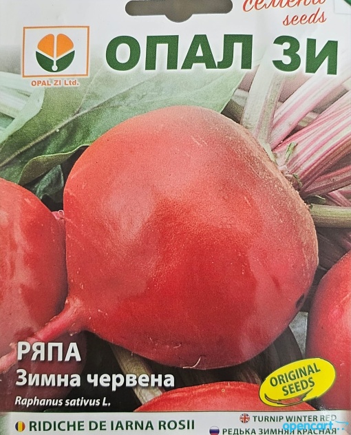 Ряпа, Семена за сорт ЗИМНА ЧЕРВЕНА, бяла сърцевина, леко пикантна