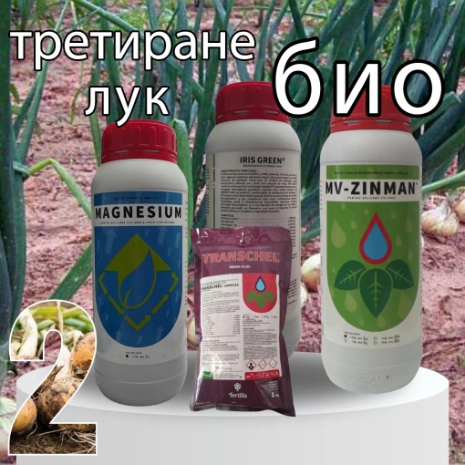 БИОПАК Етап 2 Лук - Вегетативно развитие - Зрялост