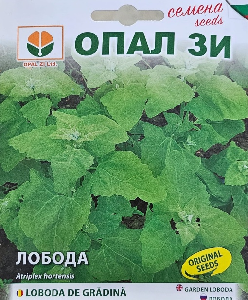 Лобода, Семена, ок. 300 семена/грам