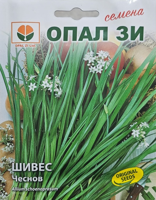 Шивес, Семена от chives чеснов, сорт с кухи листа от вътрешната страна, тръбести