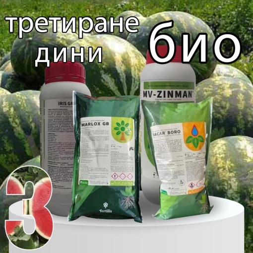 БИОПАК Етап 3 Дини - Цъфтеж - Растеж на плодове