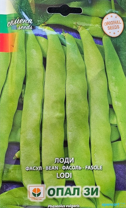 Градински боб, Семена за сорт lodi, с големи бели зърна