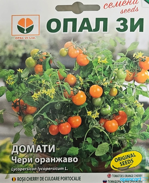 Домат, Семена от сорт cherry Оранжеви