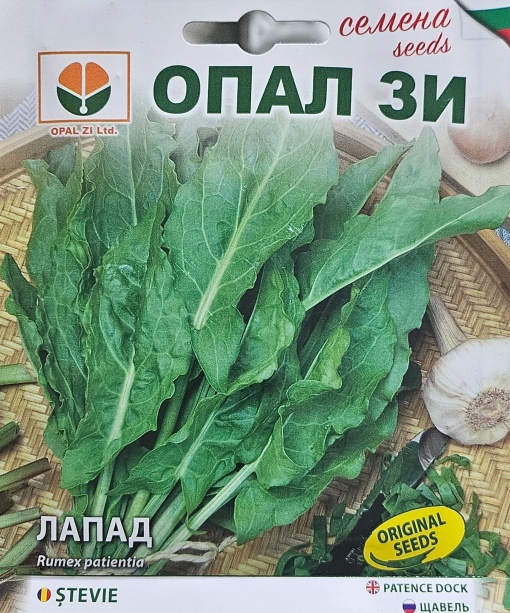 Лапад. Семена, големи тъмнозелени листа