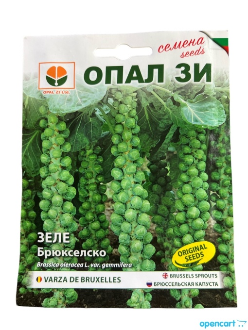 Семена БРЮКСЕЛСКО ЗЕЛЕ, студоустойчив сорт