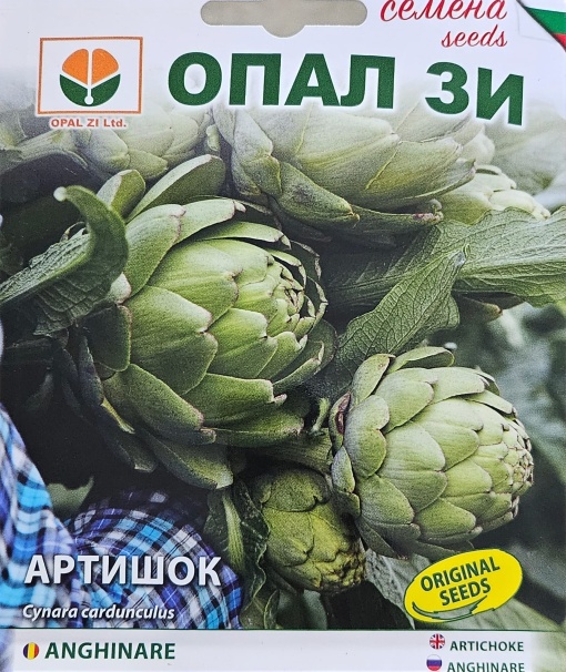 Артишок, Семена: вкус подобен на праз и целина