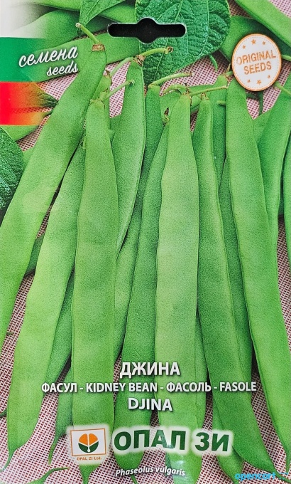 Градински боб, Семена за сорт ДЖИНА : височина 40-45см