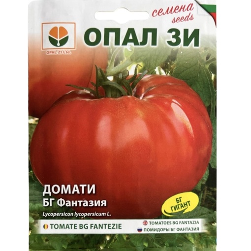 Домат, Семена от сорт БГ ФАНТАЗИЯ, полуранно производство