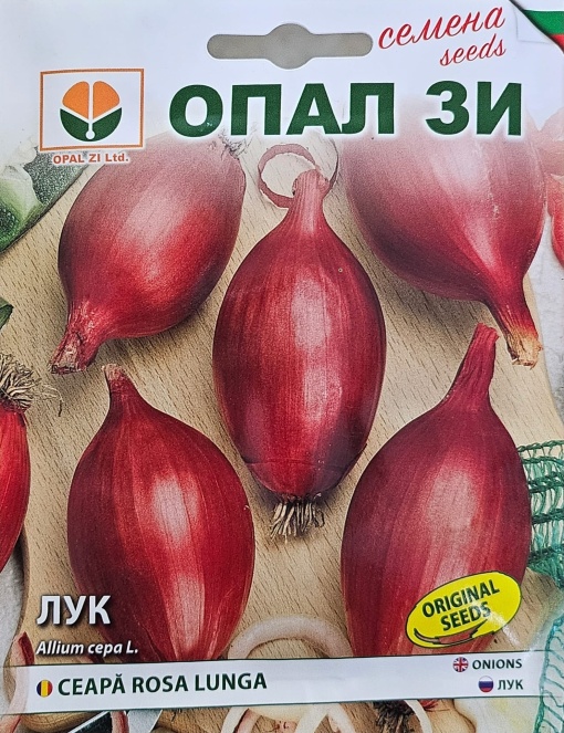 Лук, Семена от сорт rosa lunga, продълговата форма, лилав цвят
