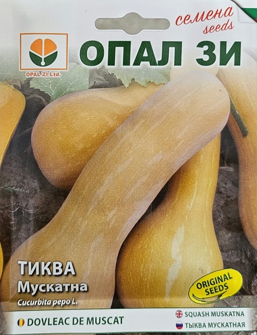 Семена тиква, късен сорт, вегетация 130 дни
