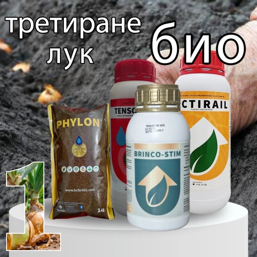 БИОПАК Етап 1 Лук - Подготовка на почвата, до появата на луковиците