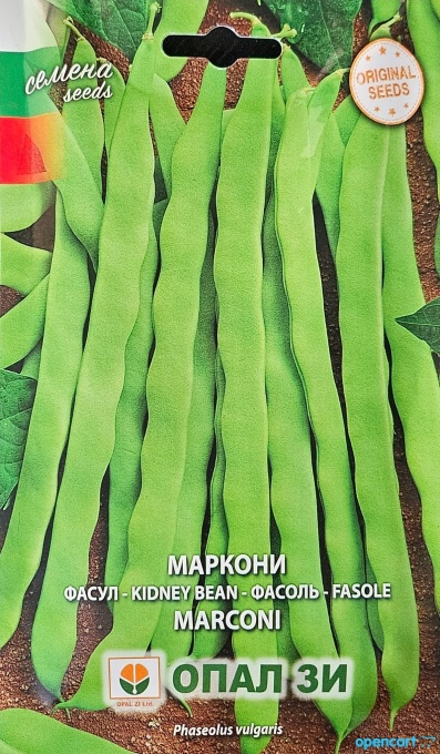 Градински боб, Семена за сорт МАРКОНИ, катерещ се сорт