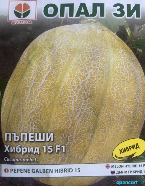 Пъпеш, Семена за сорт ХИБРИД 15 f1: устойчив