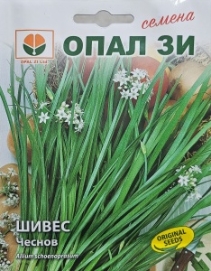 Шивес, Семена от chives чеснов, сорт с кухи листа от вътрешната страна, тръбести