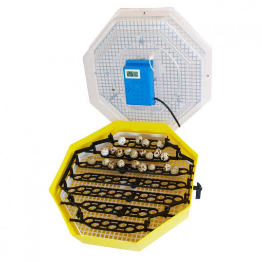 Incubator electric pentru oua, Cleo 5DTH, cu dispozitiv intoarcere, termometru, termohigrometru - Img 3