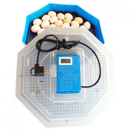 Incubator electric pentru oua, Cleo 5TH, cu termohigrometru - Img 1