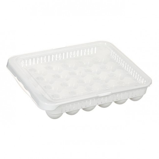 Suport organizator din plastic cu capac pentru 30 de oua, dimensiune 33.5x27.8x7.3cm