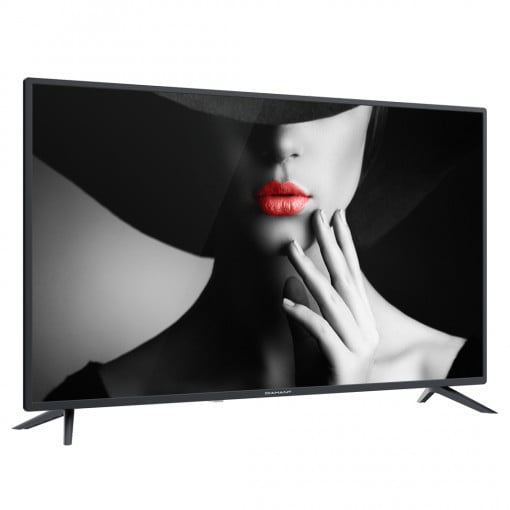 Televizor LED Diamant 40HL4300F/C, 101 cm, Full HD, Clasa E - Img 2