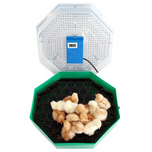 Incubator electric pentru oua, Cleo 5DTH, cu dispozitiv intoarcere, termometru, termohigrometru - Img 2