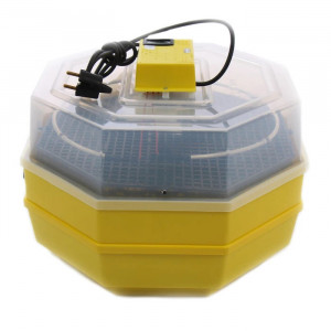 Incubator electric pentru oua, Cleo 5X2 DT, cu 2 dispozitive intoarcere, termometru - Img 1
