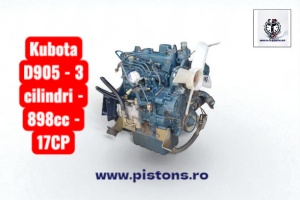 Motor complet Kubota D905