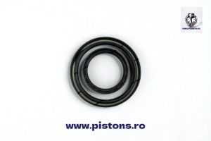 Set simeringuri palier motor Perkins 403C11 - 403D11