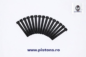 Set complet (15buc.) suruburi chiuloasa motor Isuzu 3AB1