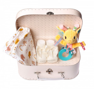 Set cadou bebe in valiza